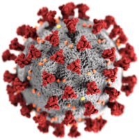 Coronavirus