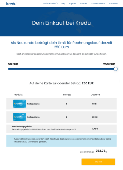 kredu Antrag: Einkauf mit Limit 250 Euro